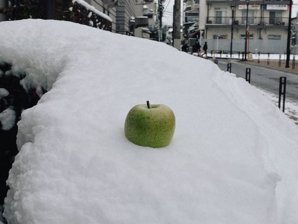 「この世界からは出ていくけれど」キム・チョヨプ