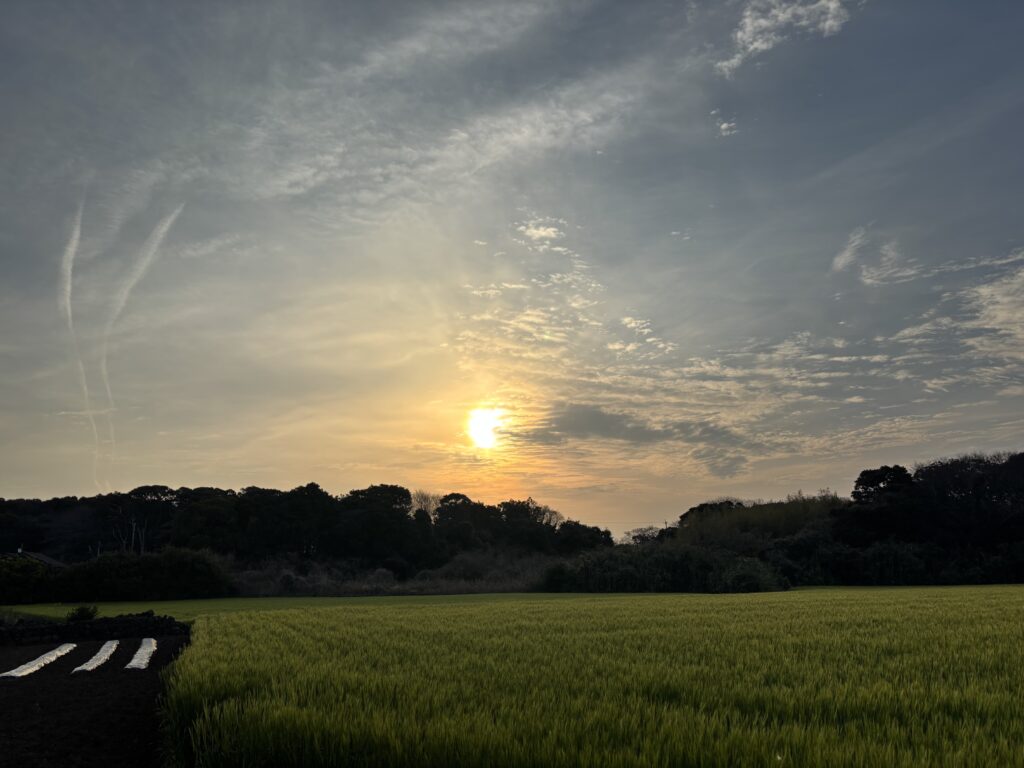 今日も朝日を拝めました