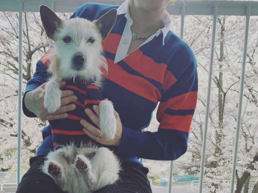 号泣からの恐怖