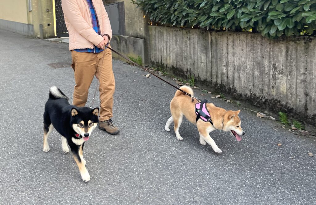 a sunday spent drifting along