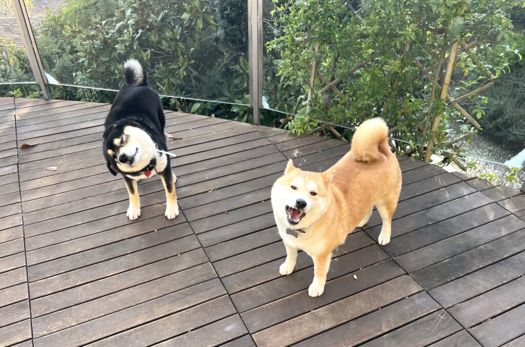 my nose won’t stop running