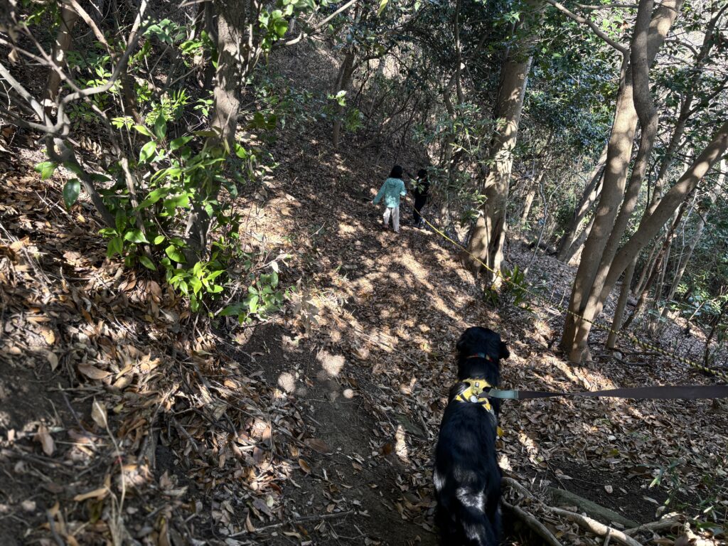 ¥2,710 パン8点（パンプレッソ）