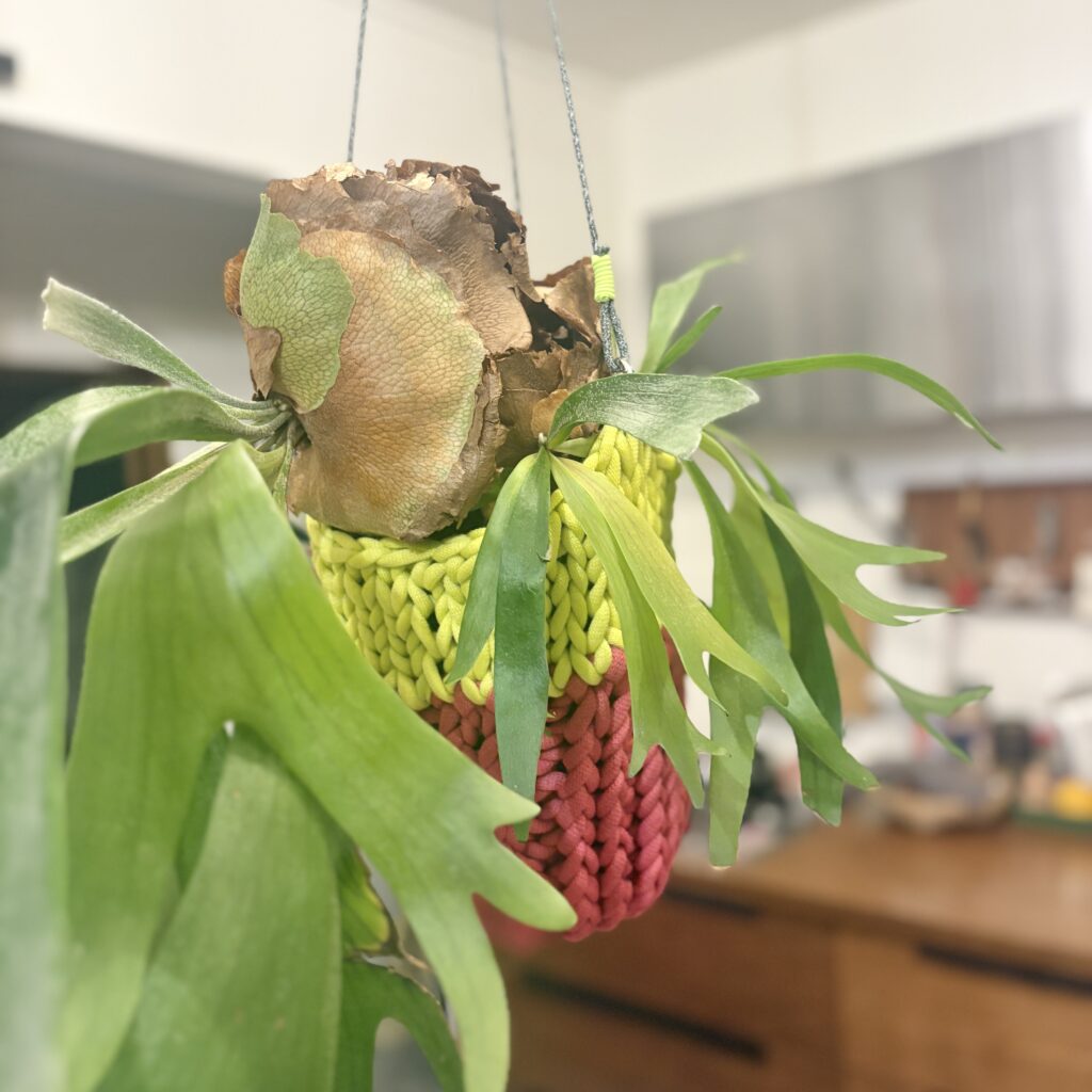 ¥1,500 ニッティング「イル」参加費