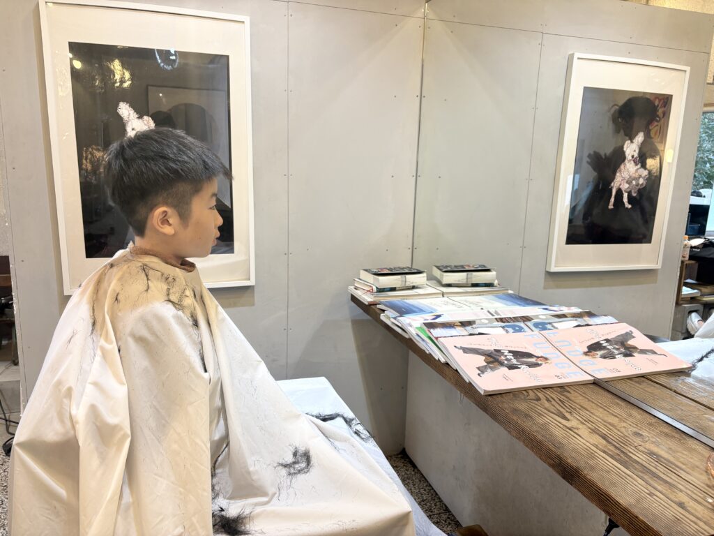 ¥11, 742 高校受験コース（Z会）