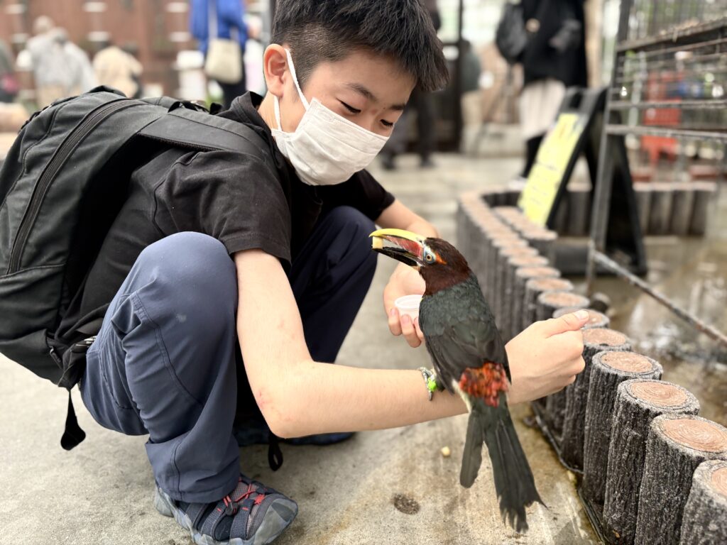 ¥100 とりのえさ（掛川花鳥園）