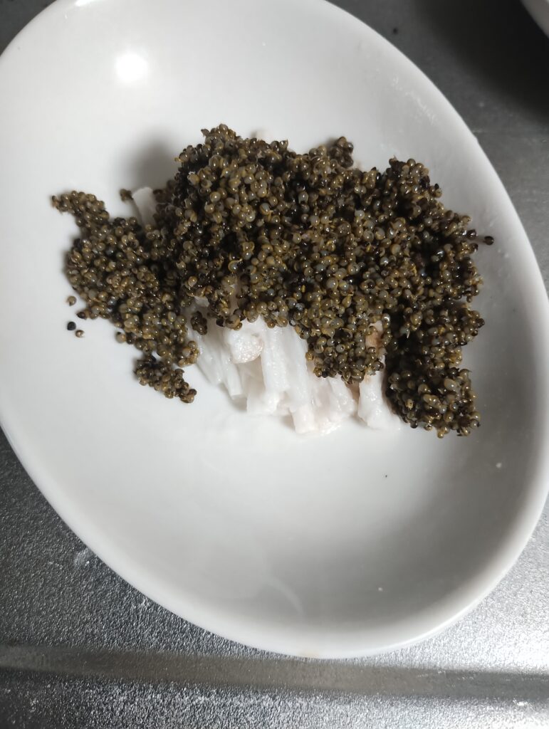 先人たちが築いた概念の意味