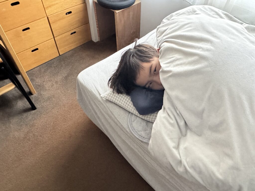 夢によって知らされる