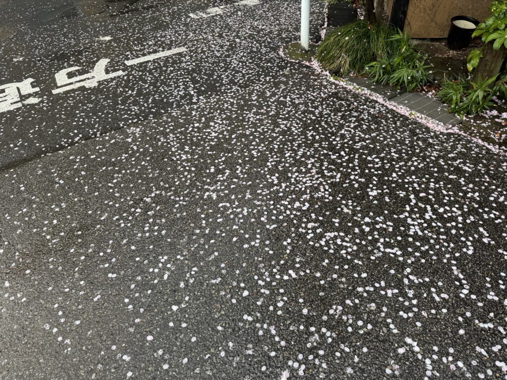 風と雨の日