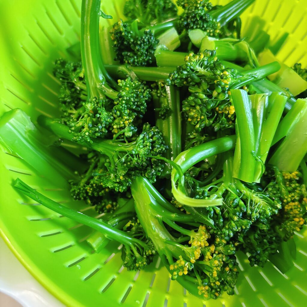 親に引き寄せられていく