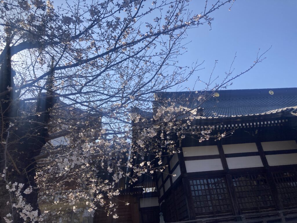 突っ走ったりのたうち回ったりバウンダリー