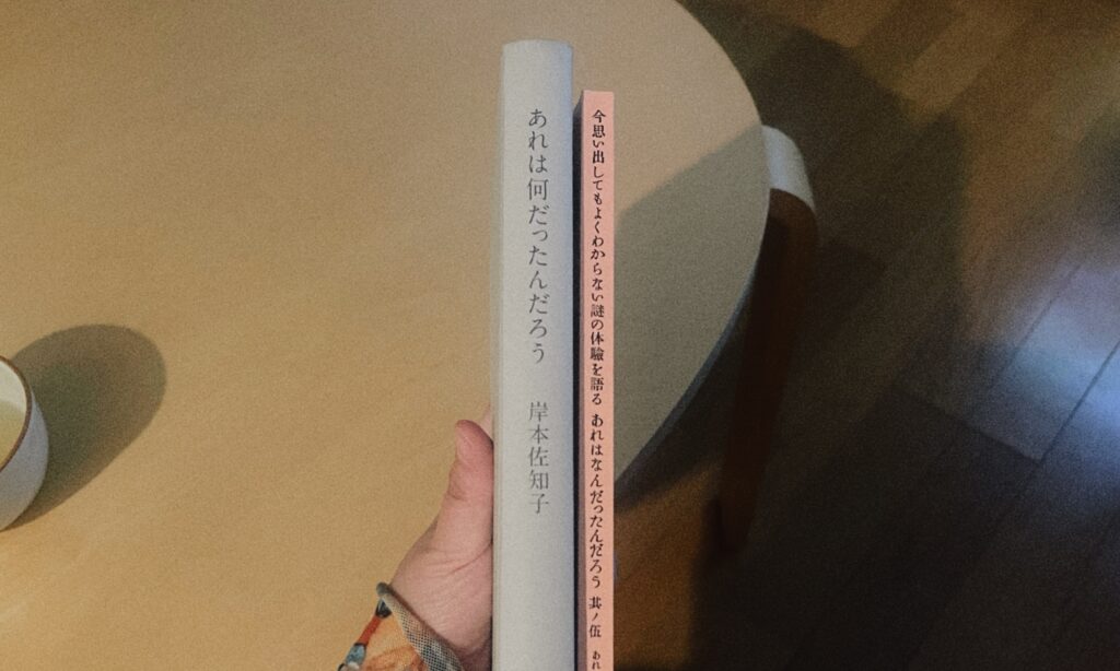 「あれは何だったんだろう」岸本佐知子（新刊タイトルより）