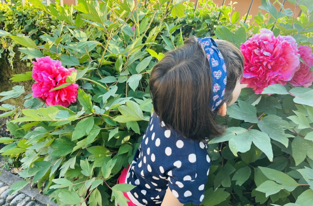 dumping from scratch on a whim