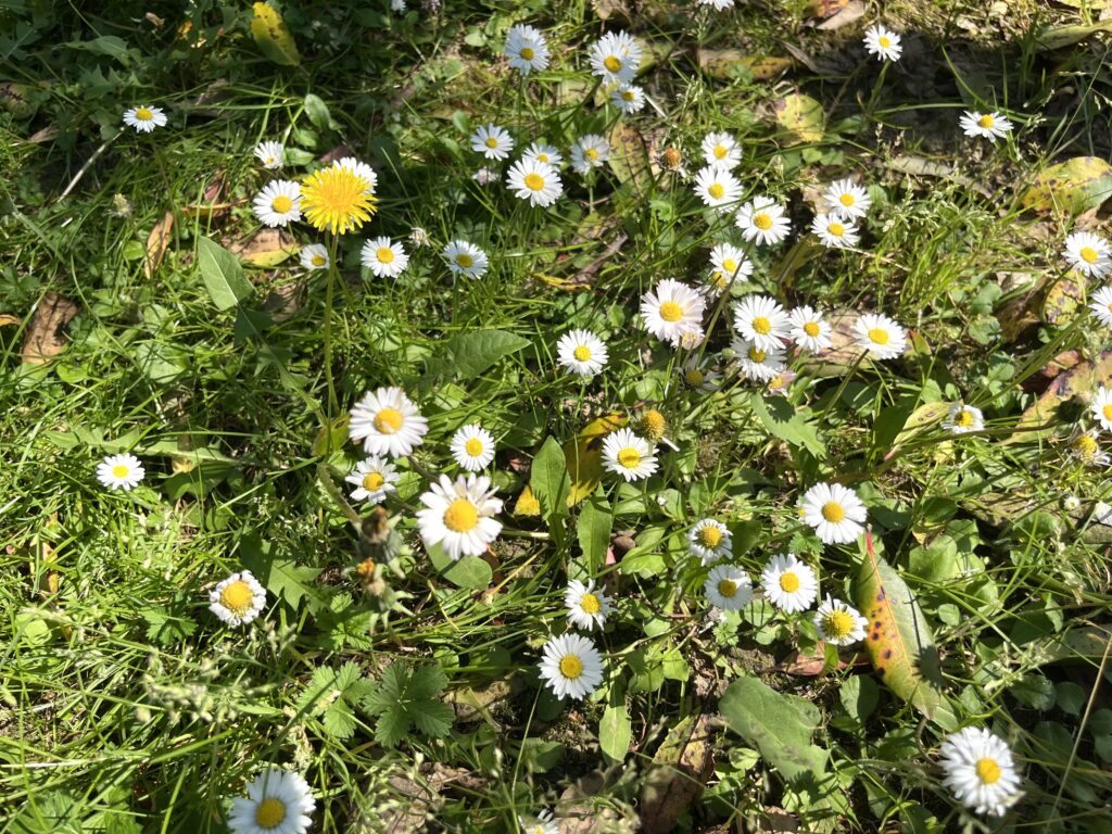 a plumber’s craftsmanship