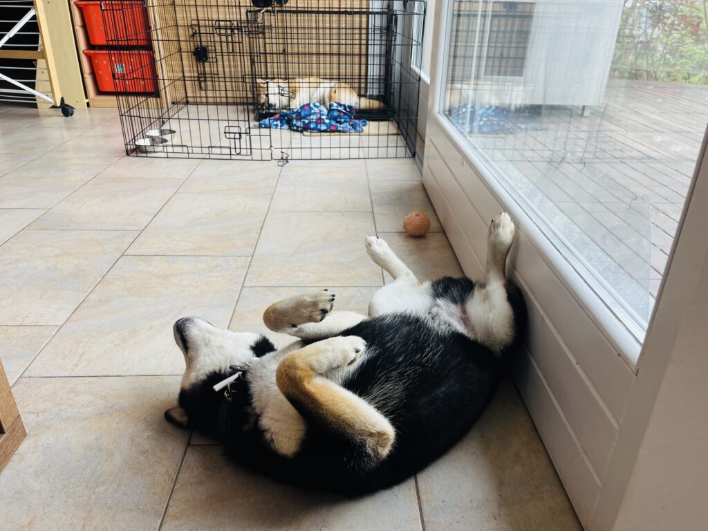 the distance between the two