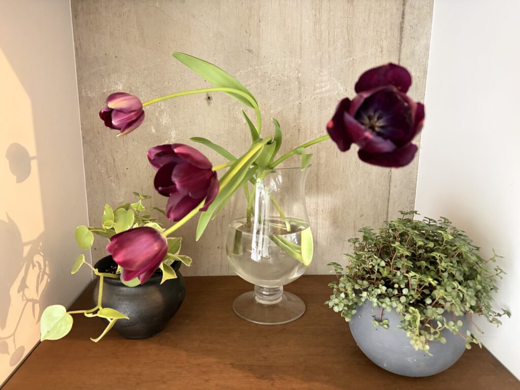 ストックの月曜日