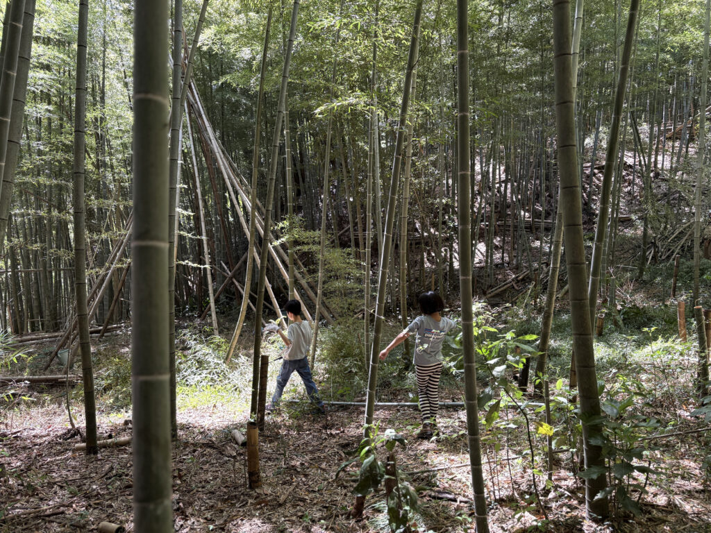 ¥0 たけのこ（ありんくりんの森）