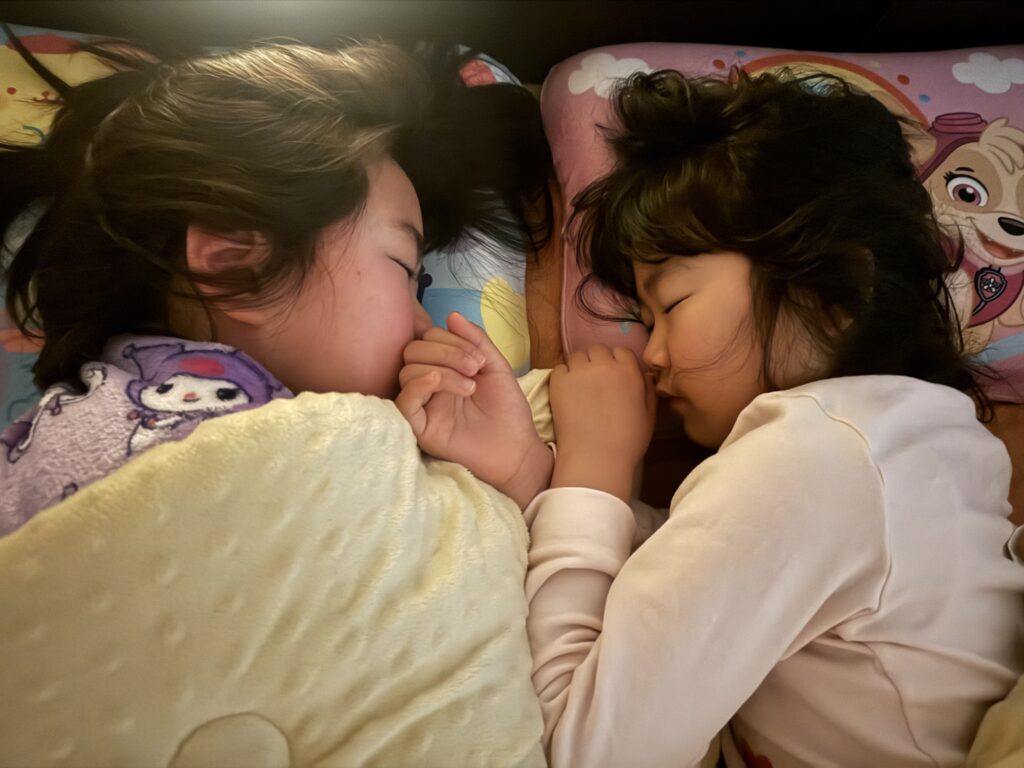 私のかわい子ちゃん