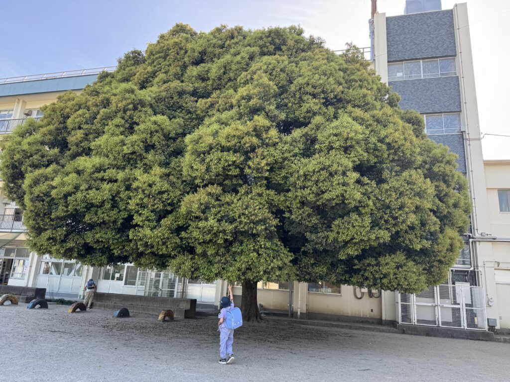 人生は60点が満点