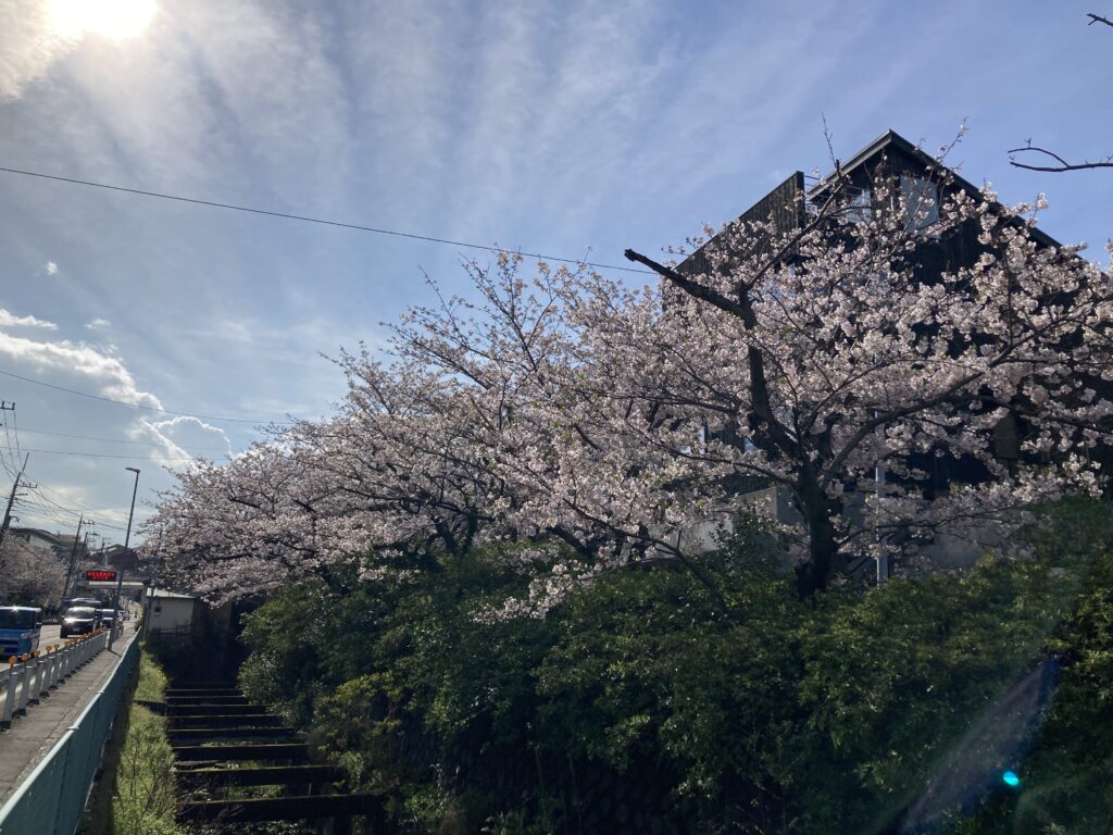 新年度の始まり、そしてAI時代