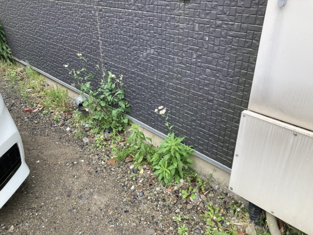 やさしい気持ち