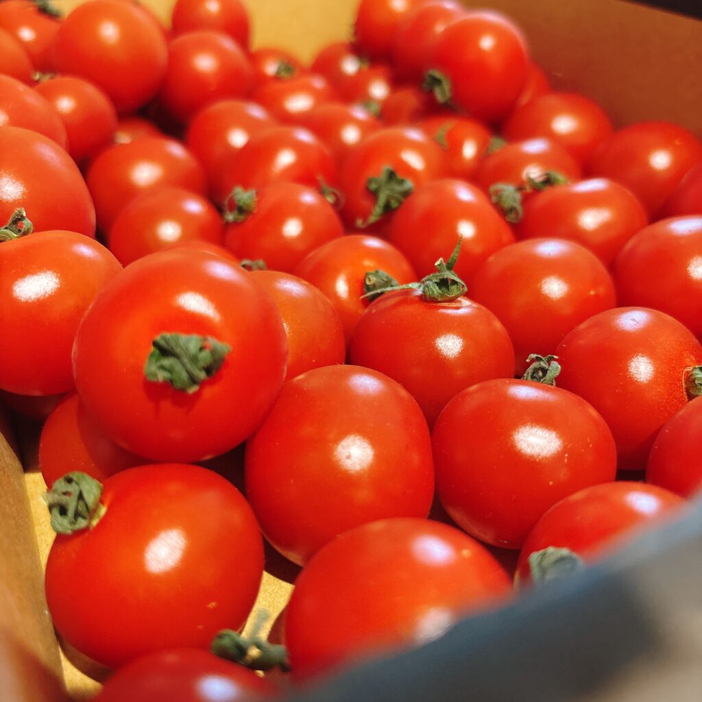 親友ミニトマト