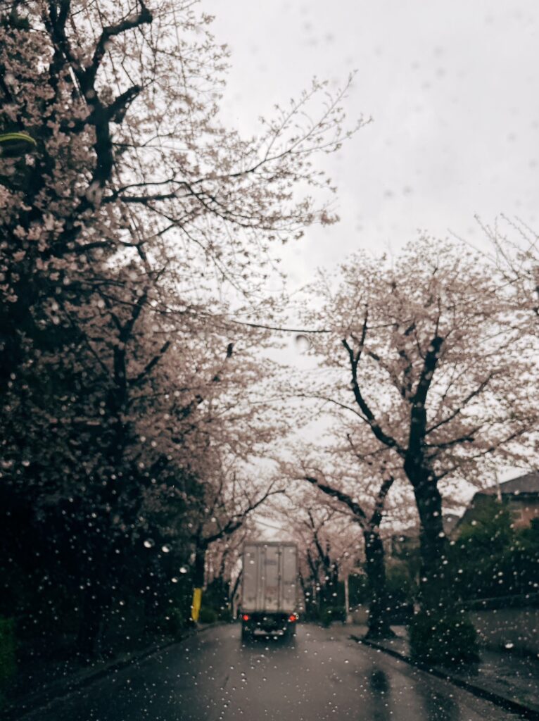 25年目の始まりは水曜日