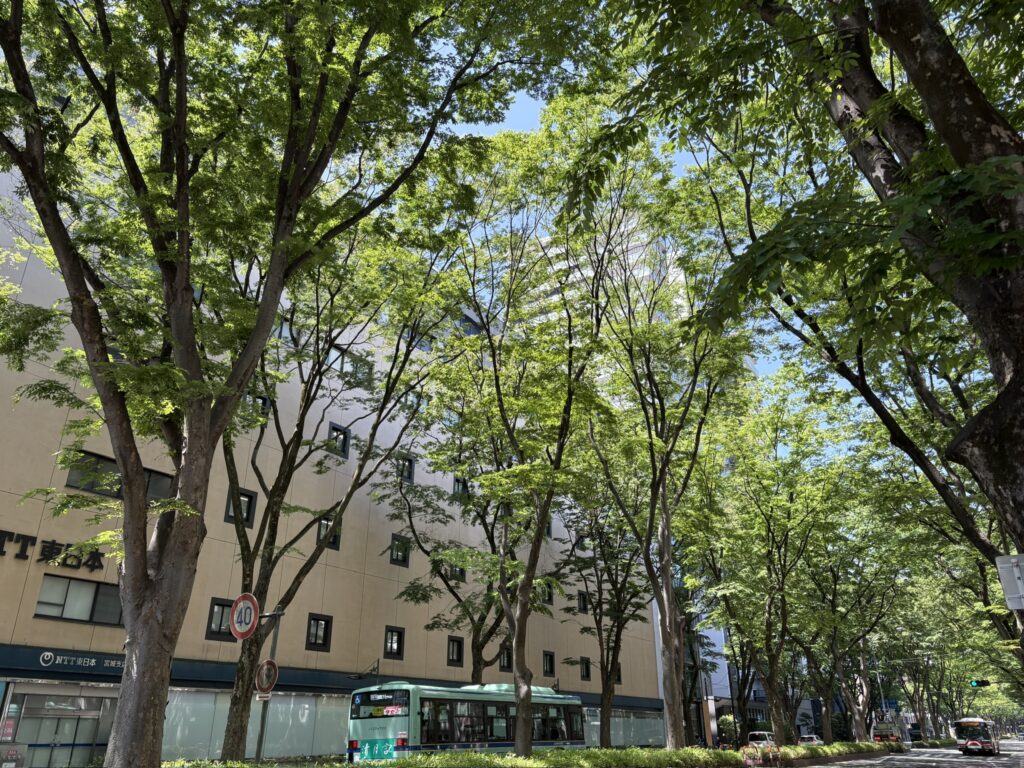 諦めないで頑張ろう
