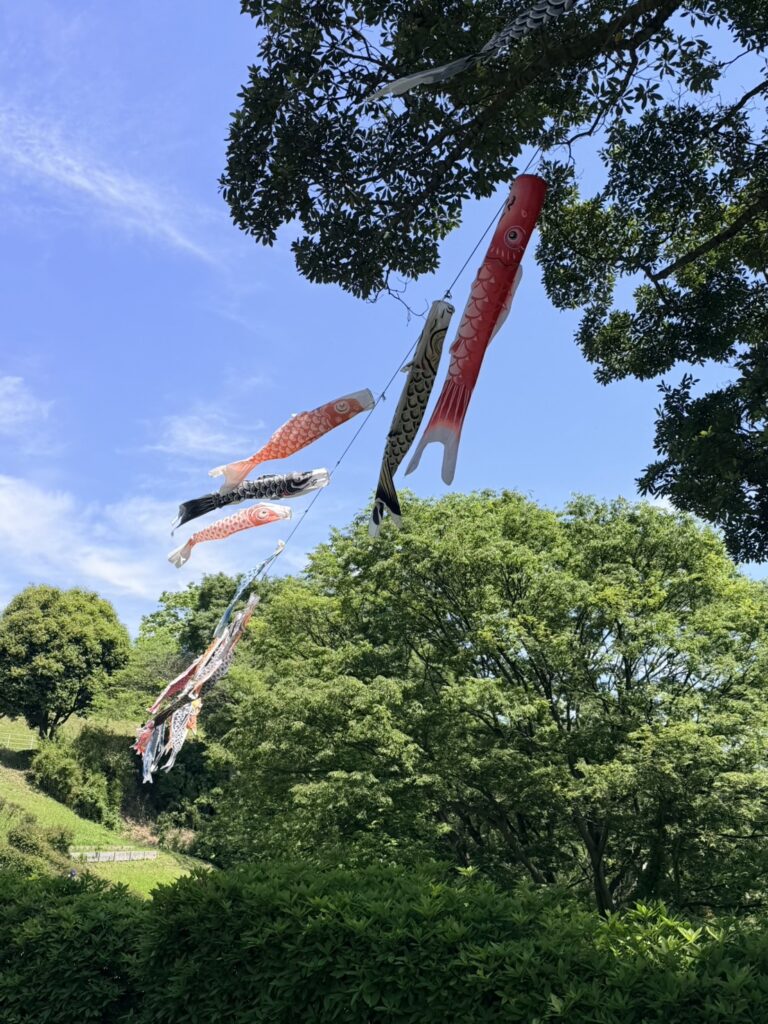 祭に行きたい火曜