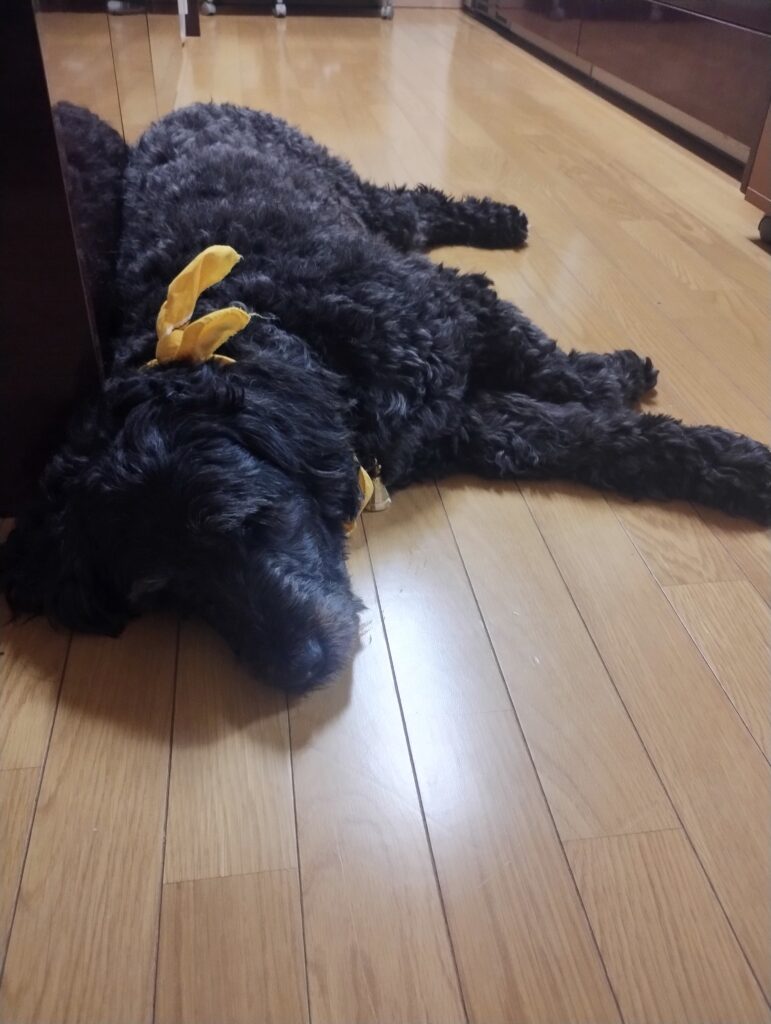 受注会2日目~インセキュアな私たち~