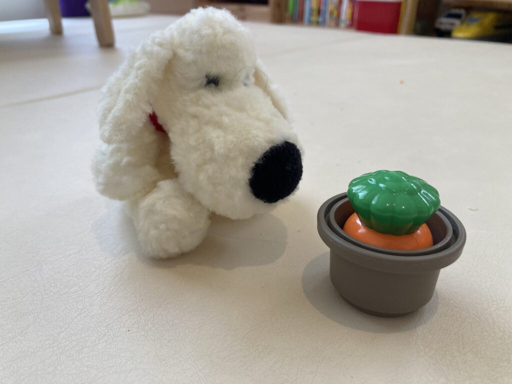 大きいちゃっぽん、海