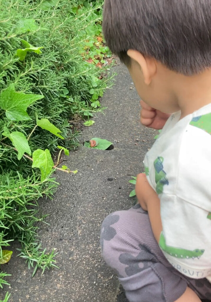 言葉を拒むGreen＆Green＆Green