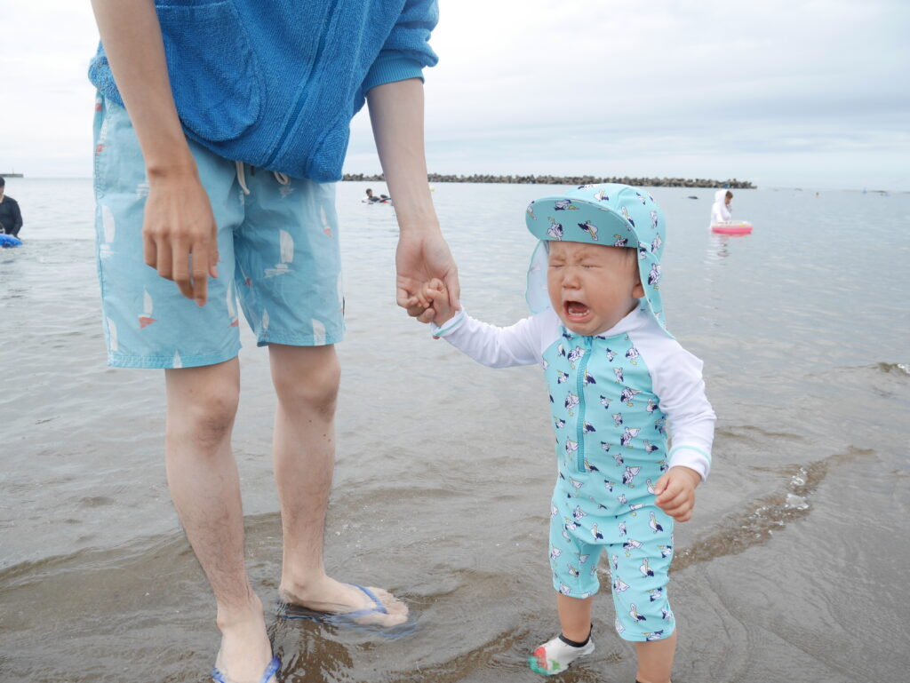 16週はじまる
