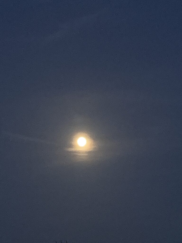 LUNA LLENA