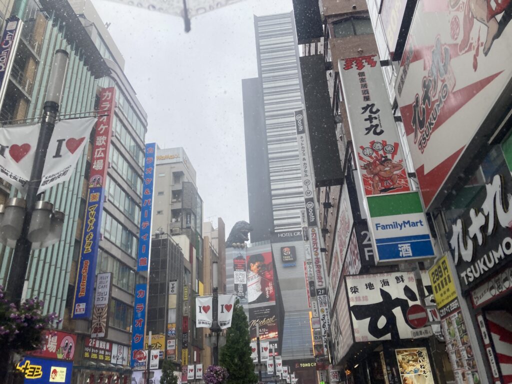 新宿は豪雨
