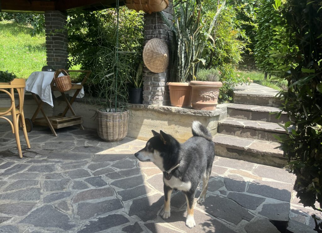 coda
