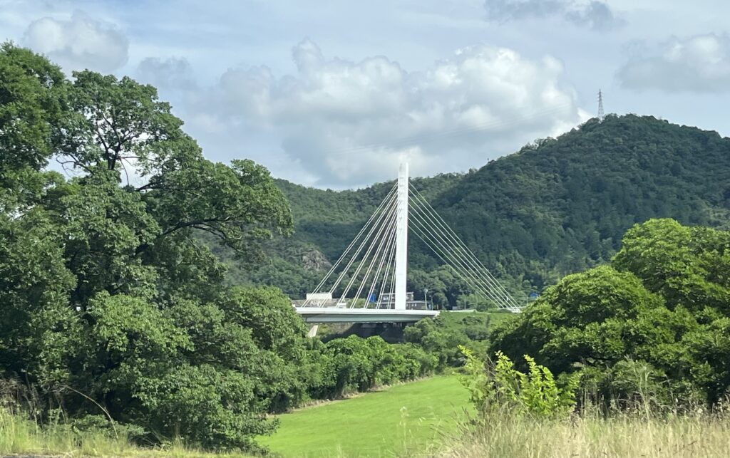 driving along the river