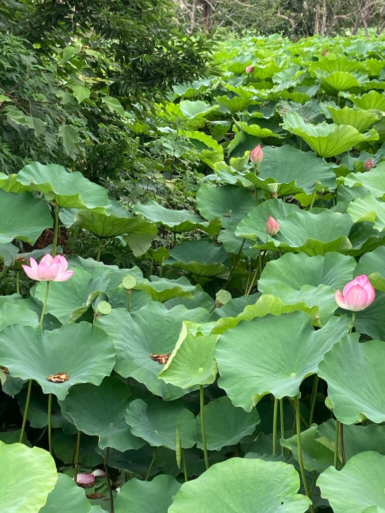 悪循環